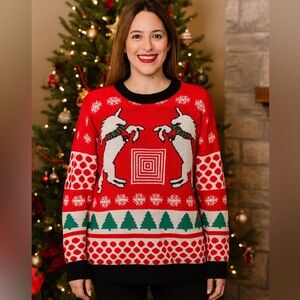 LuLaRoe Red and Green Festive Sweater